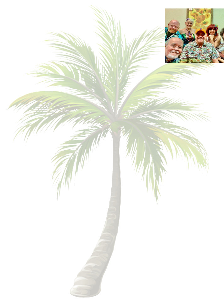 Palm Tree background