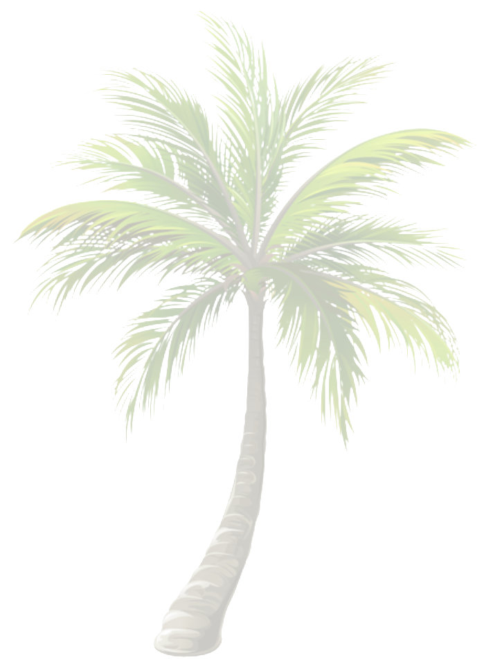 Palm Tree background