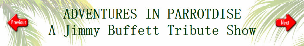 aip62619_onepage_wht_2004011.jpg